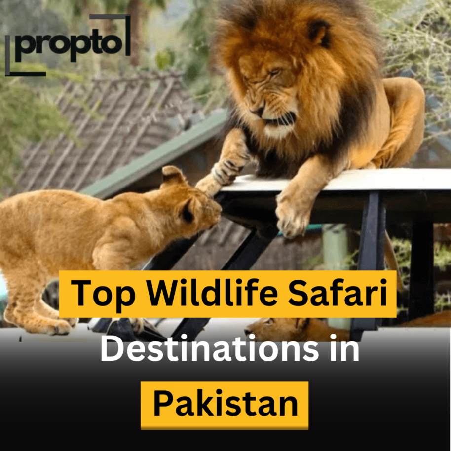 Top Wildlife Safari Destinations in Pakistan 